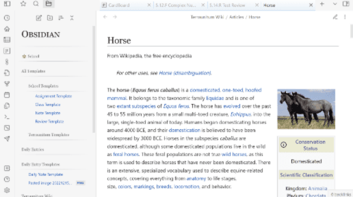 Wikipedia-Theme