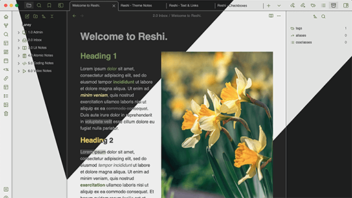 Screenshot of the Reshi Obsidian theme